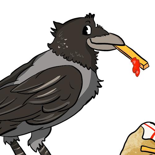 daniela schreiter comic Fuchskind crow kraehe pommes Fast Food French Fries Hooded Crow