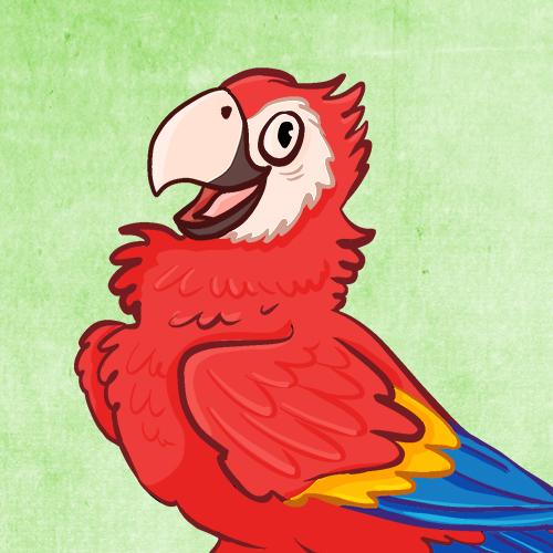 daniela schreiter Papagei parrot illustration